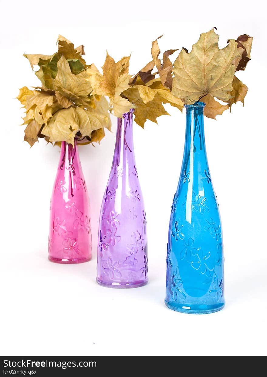 Multicolored decorative bottles with wither maple