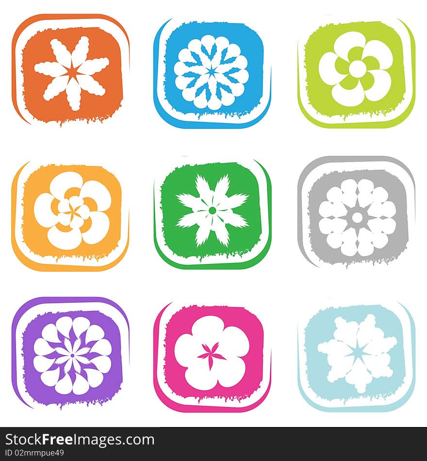 Set of flower design elements vector