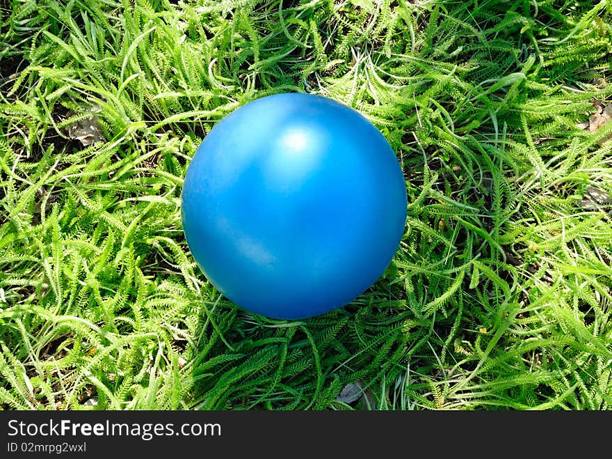 Dark Blue Children S Ball On A Grass