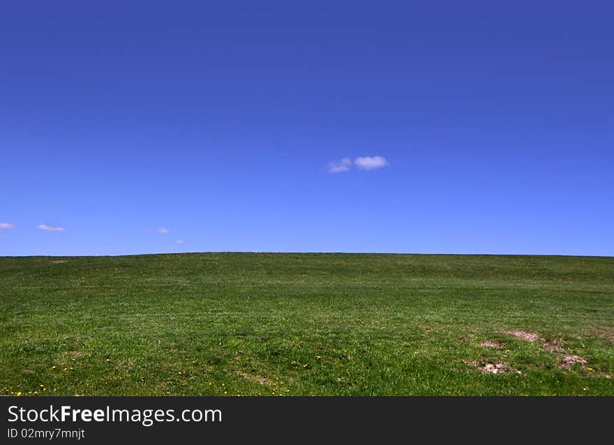 Field of green grass against blue sky background. Field of green grass against blue sky background