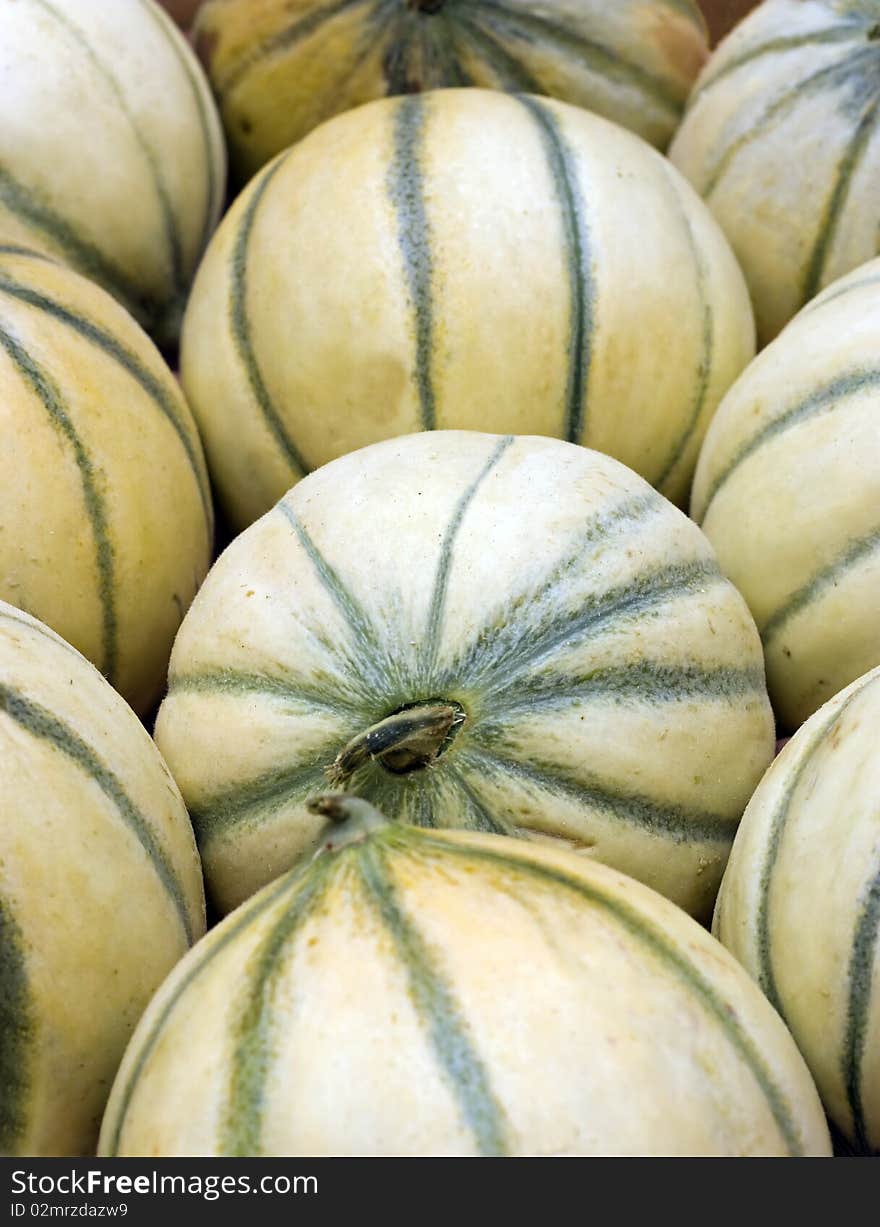 A close up group of organic yellow and green cantaloupe melons. A close up group of organic yellow and green cantaloupe melons