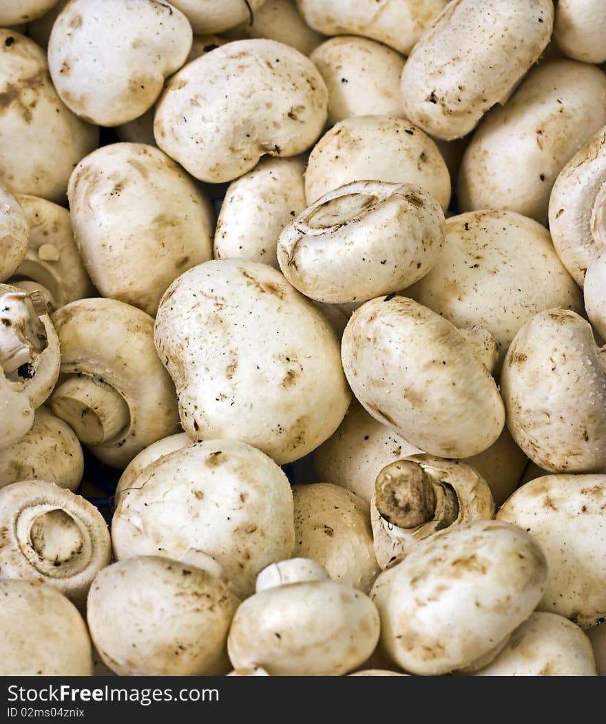 a background of a pile of small organic button mushrooms