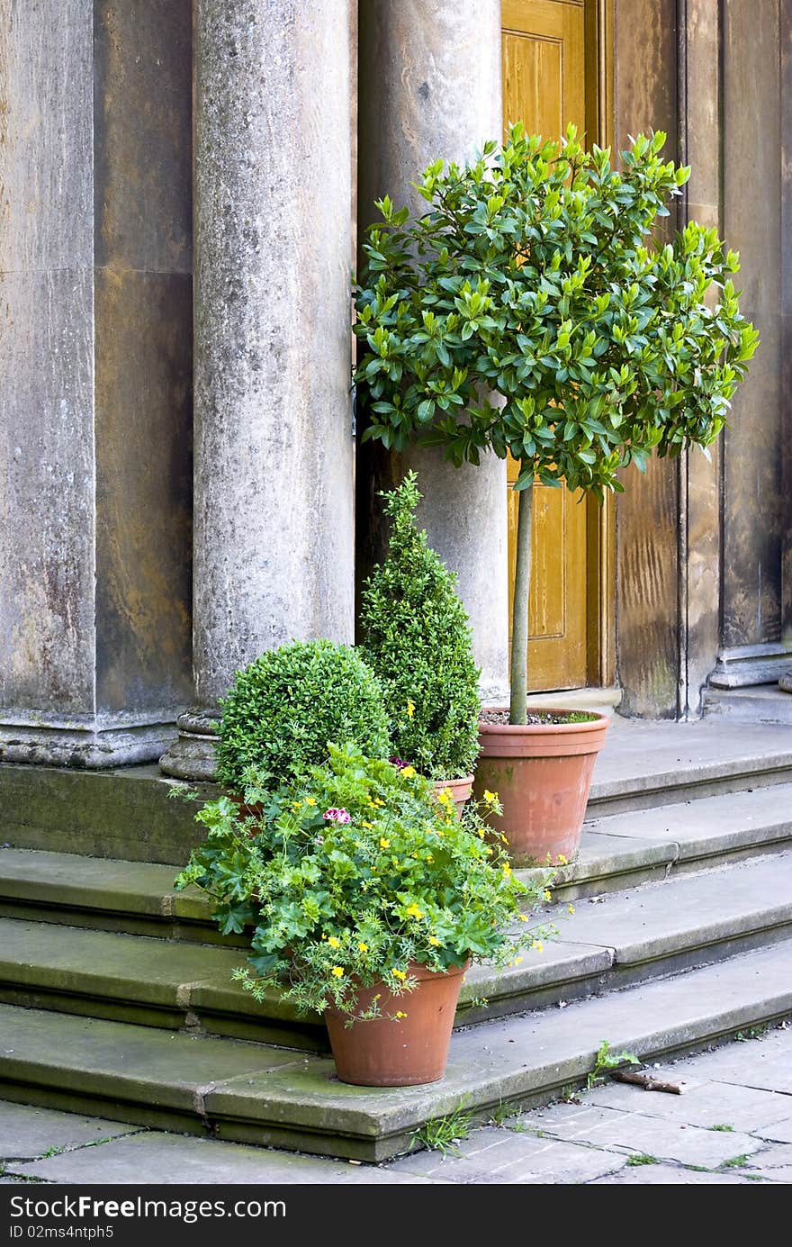 Entrance of a period building with stone stairs, large pillars and wooden door, decorated with potted plants on the stairs. Entrance of a period building with stone stairs, large pillars and wooden door, decorated with potted plants on the stairs