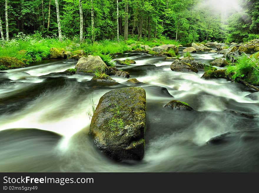 Wild river through green forest