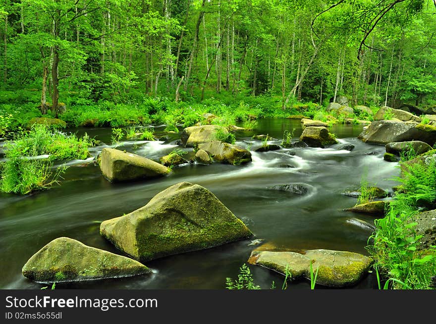 Wild river through green forest