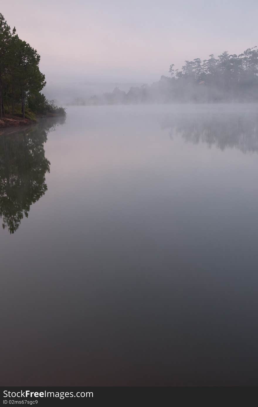 Morning mist at the lake