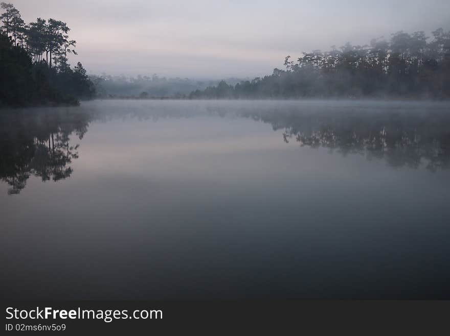 Reflection of morning in the lake