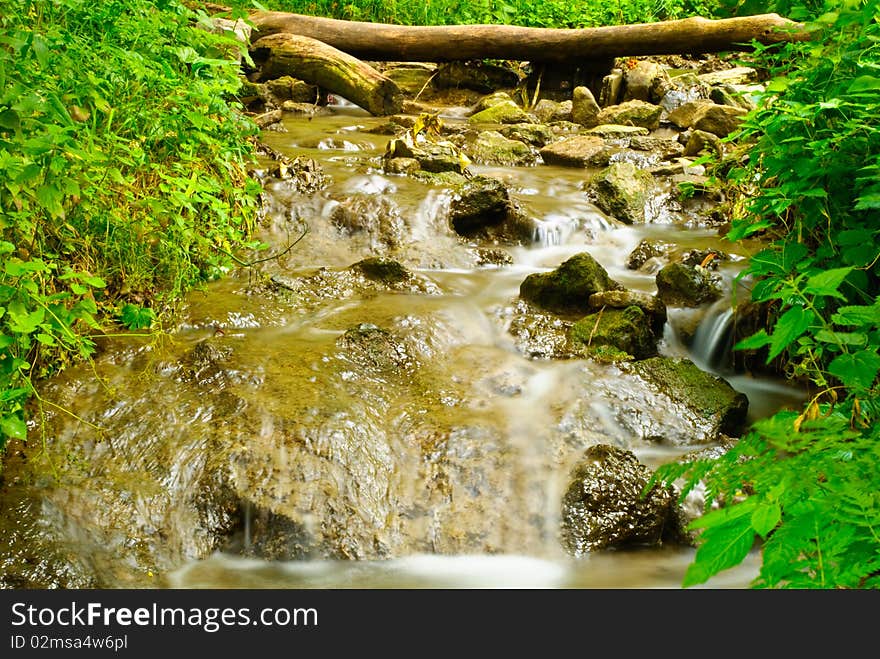 Forest rocky brook