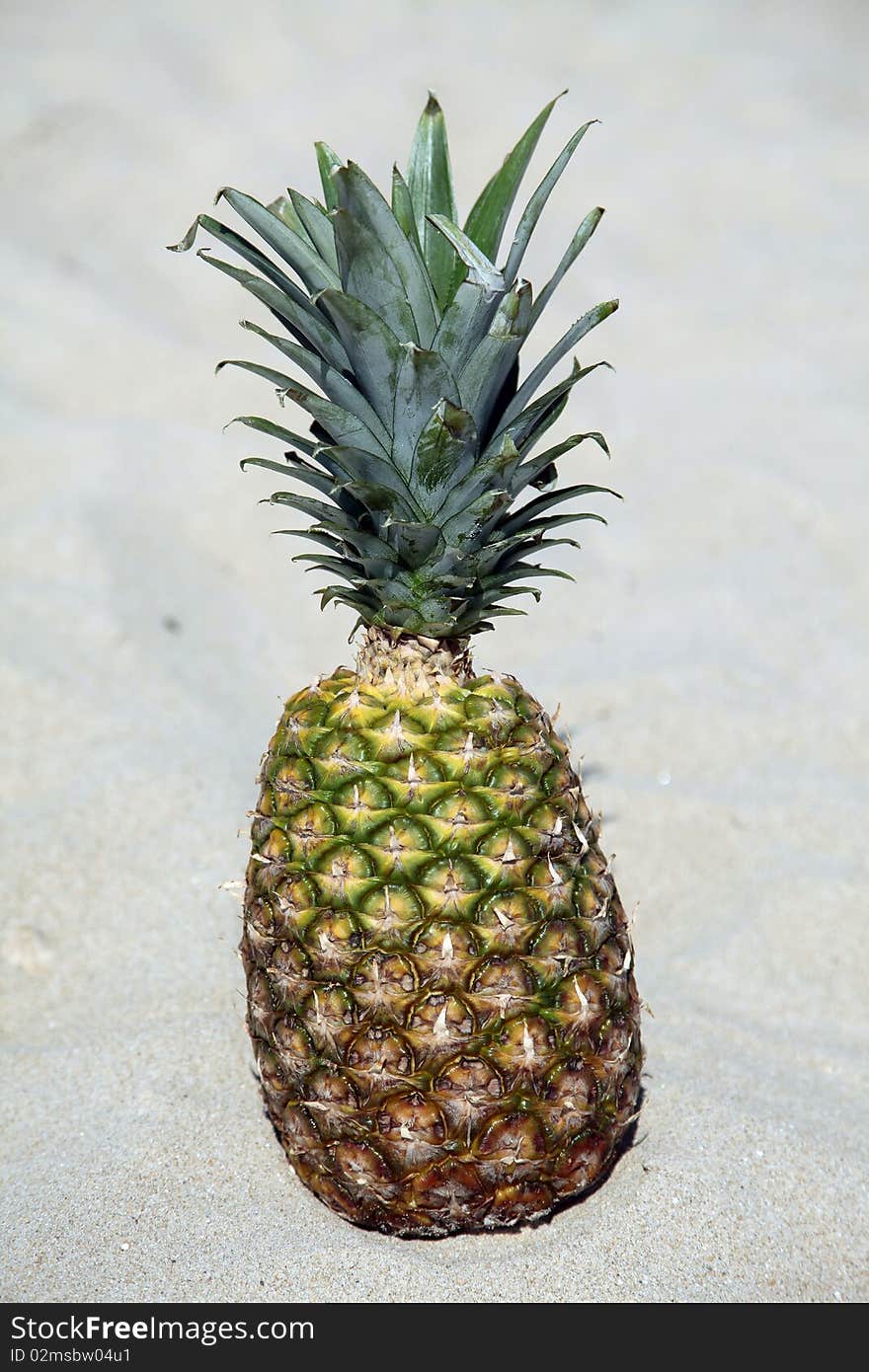 Pineapple on beach sand in tropical country