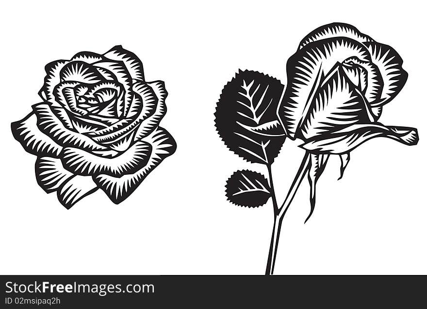 Black and white illustrations of 2 roses