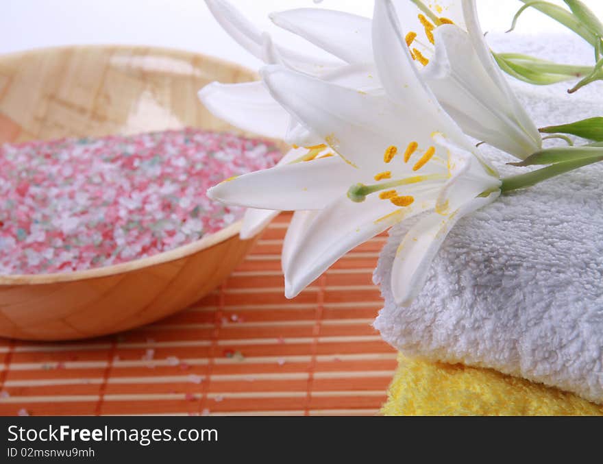 Lilly on yellow towels background