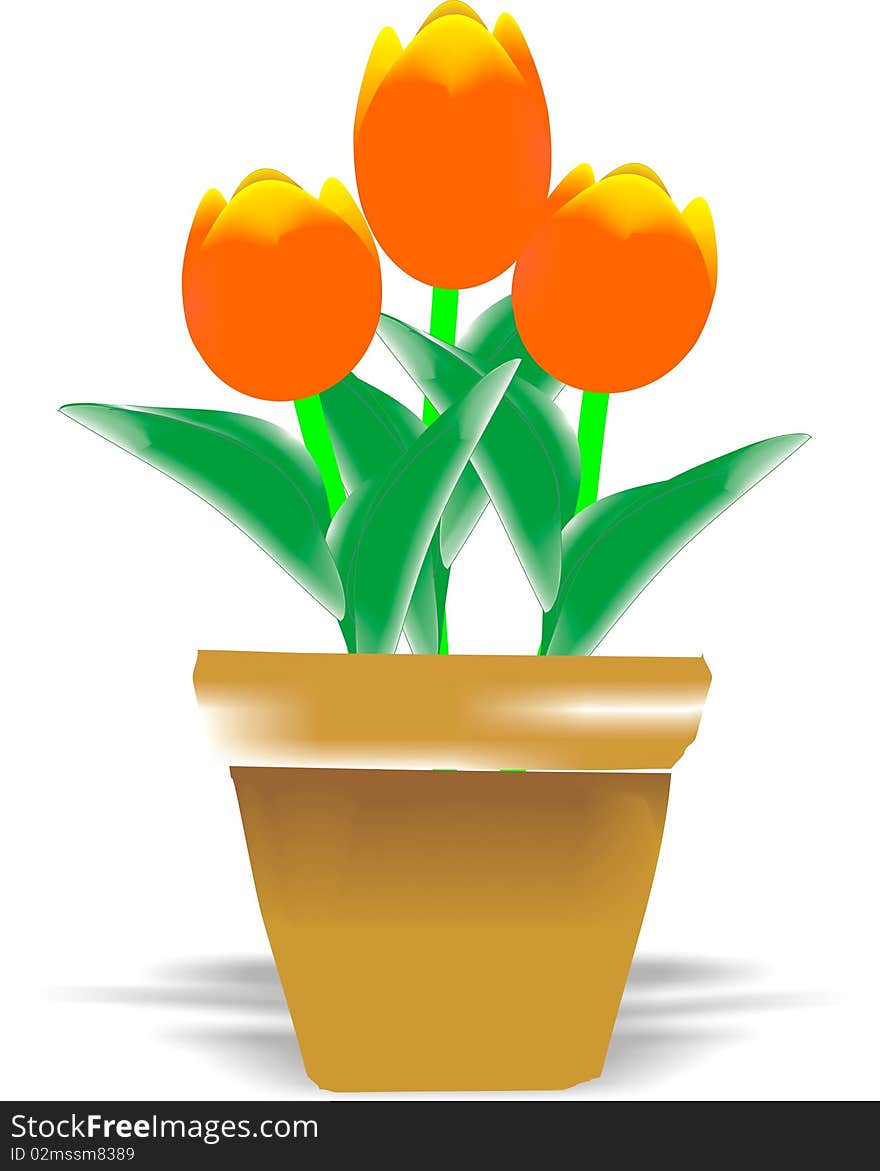 A vector image of a flowerpot with tulips