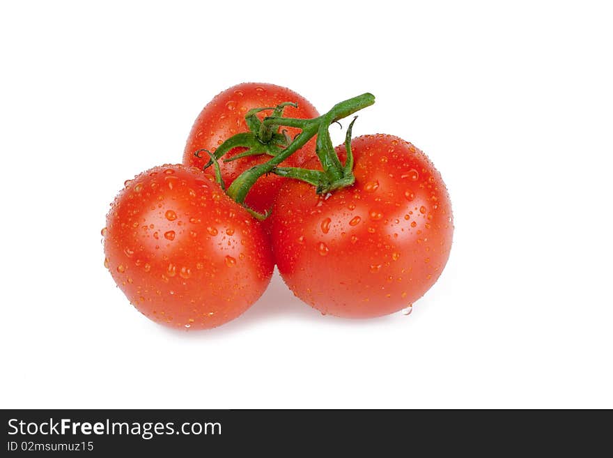 Three tomatoes on white background