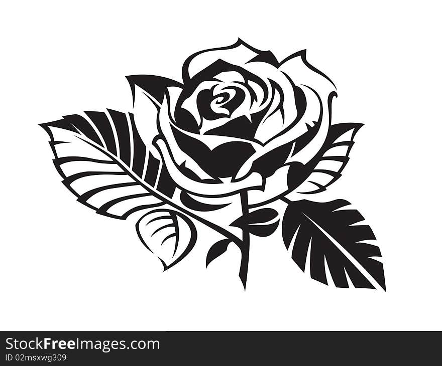 Silhouette of a black roses on a white background