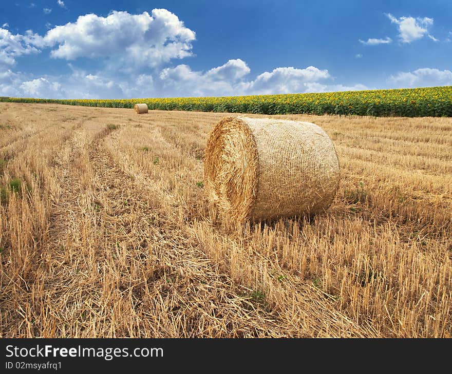 Big balls of straw in a meadow