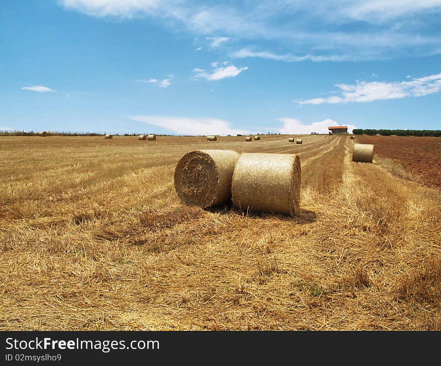 Big balls of straw in a meadow