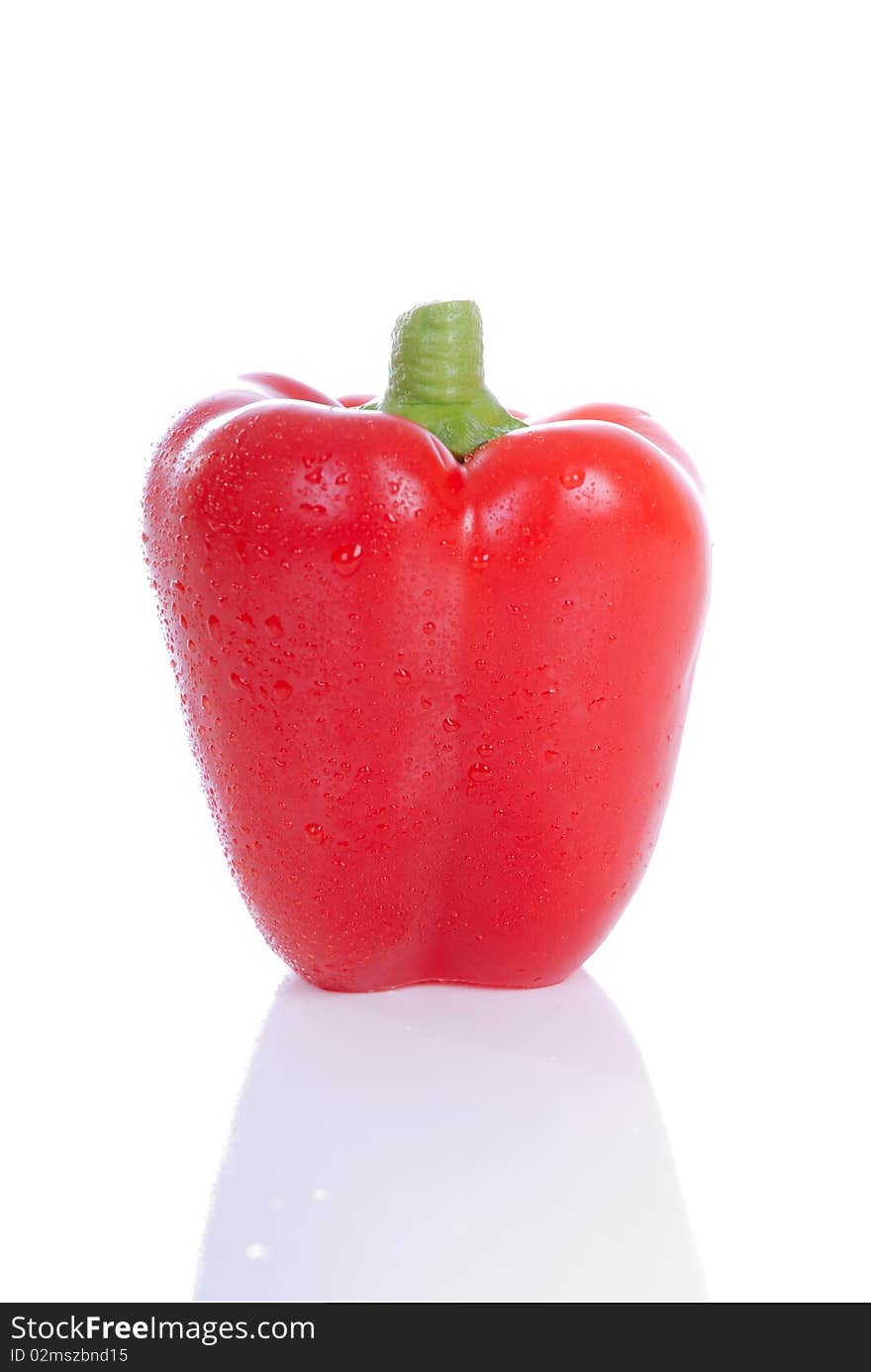 Pepper isolated close up