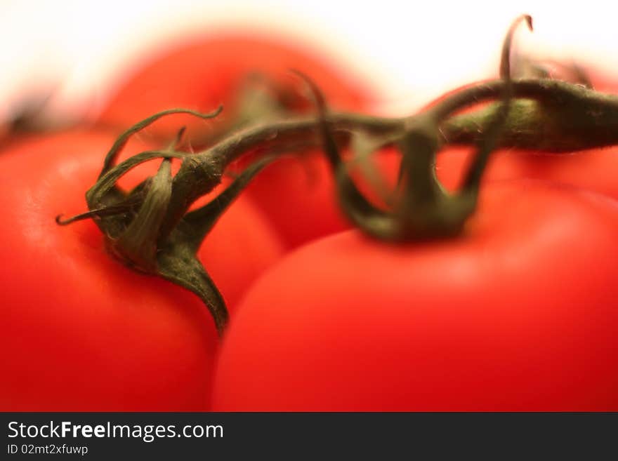 Macro of fresh tomatos with branch on white background. Macro of fresh tomatos with branch on white background