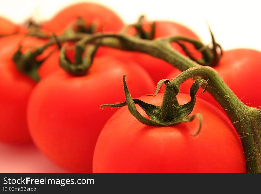 Close-up of fresh tomatos with branch on white background. Close-up of fresh tomatos with branch on white background