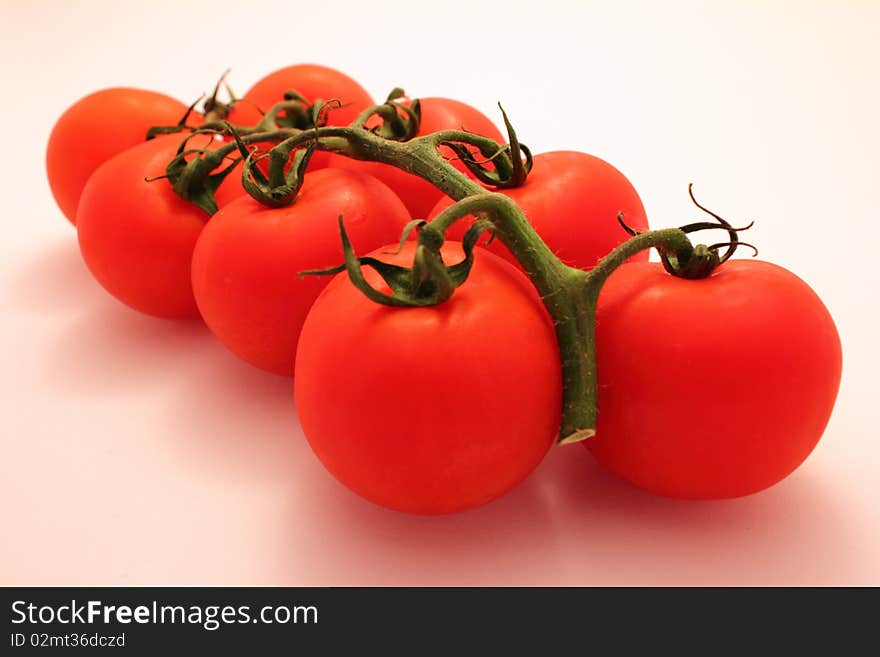 Tomatos on branch