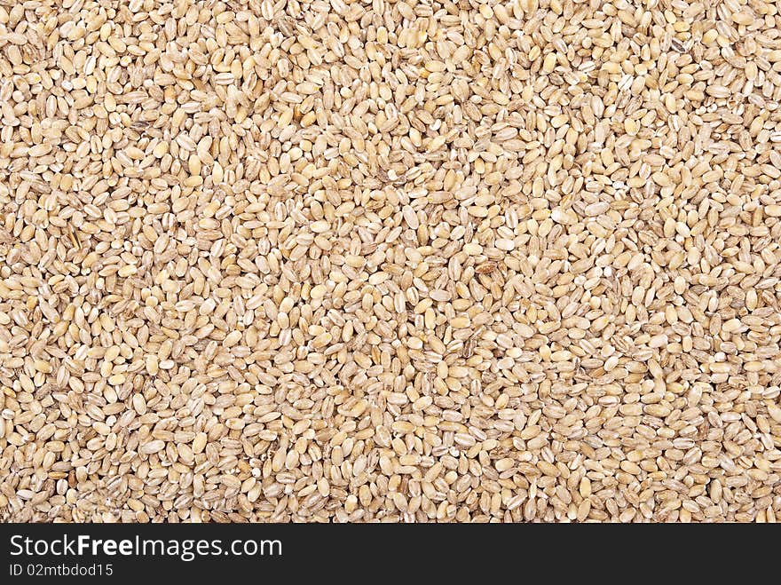 Barley grains