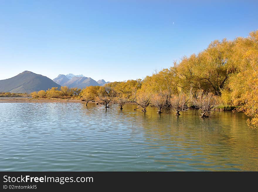 Rural scenery of the blue sky and beautiful trees with reflection on the lake. Rural scenery of the blue sky and beautiful trees with reflection on the lake.