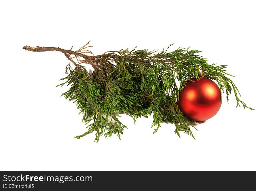 Christmas tree and red Christmas ball isolated on white