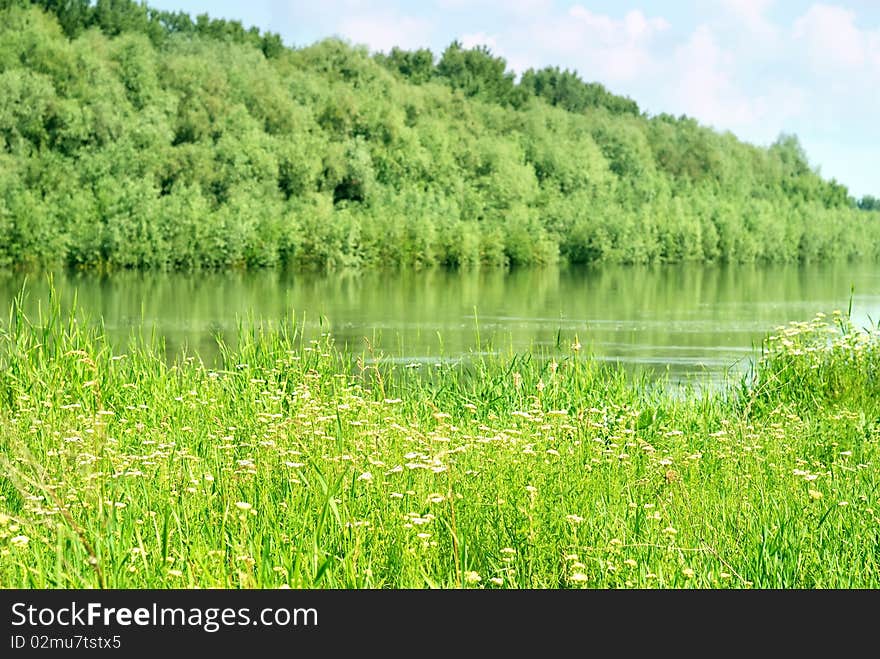 Summer landscape with forest and river