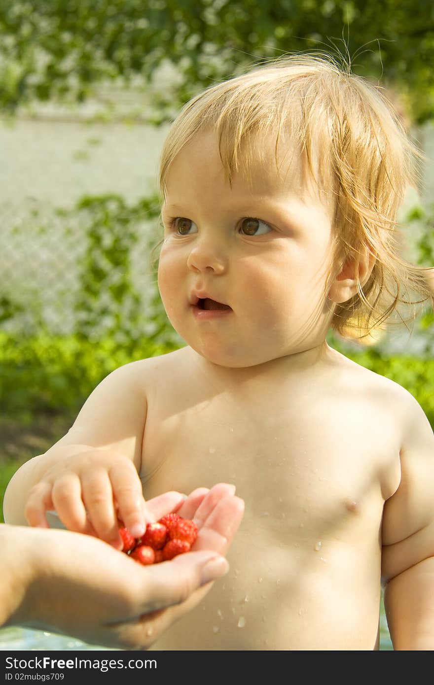 The child a clear sunny day takes wild strawberry from a mum's hand. The child a clear sunny day takes wild strawberry from a mum's hand