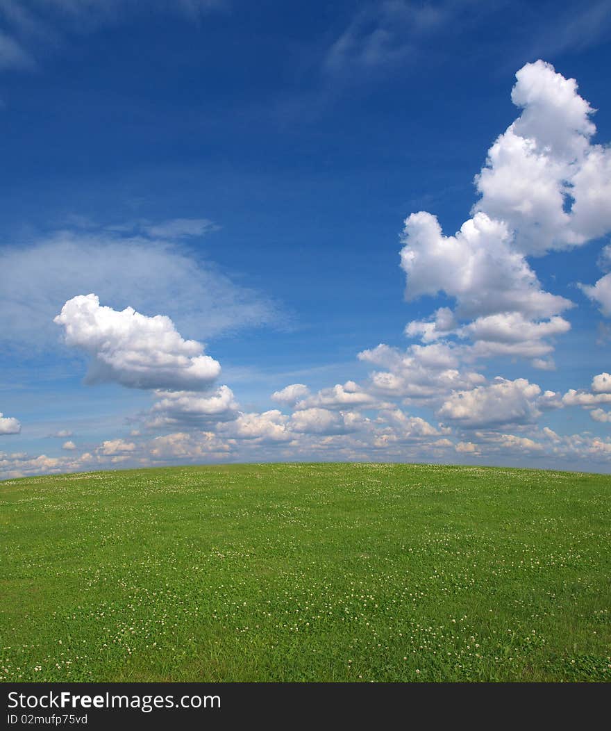 Color photo of a field with grass and sky with clouds. Color photo of a field with grass and sky with clouds