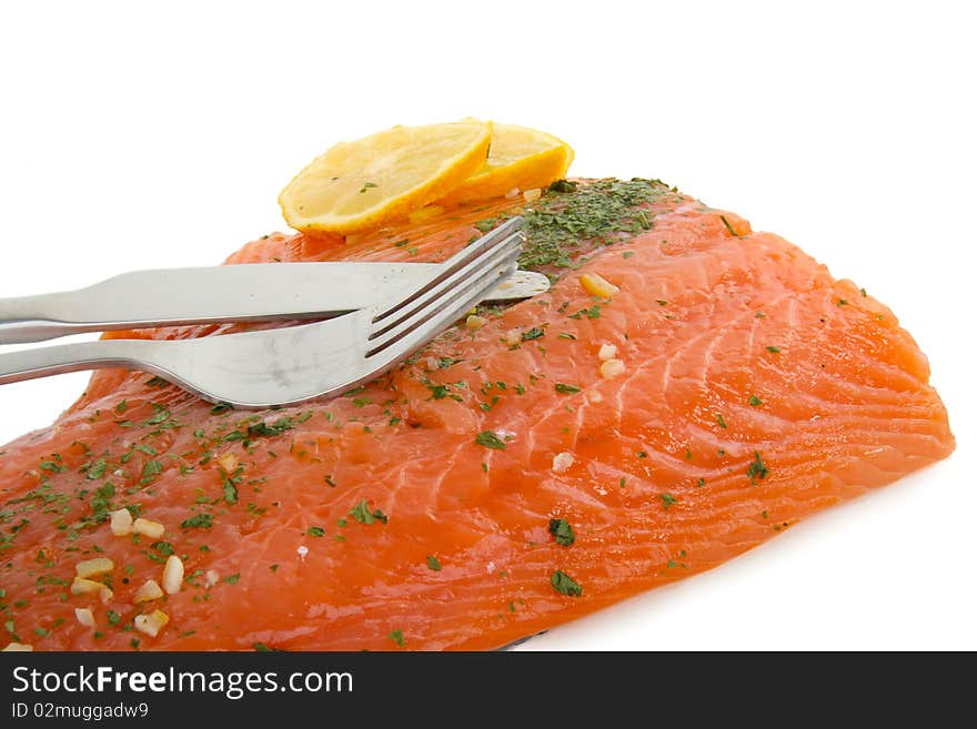 Salmon