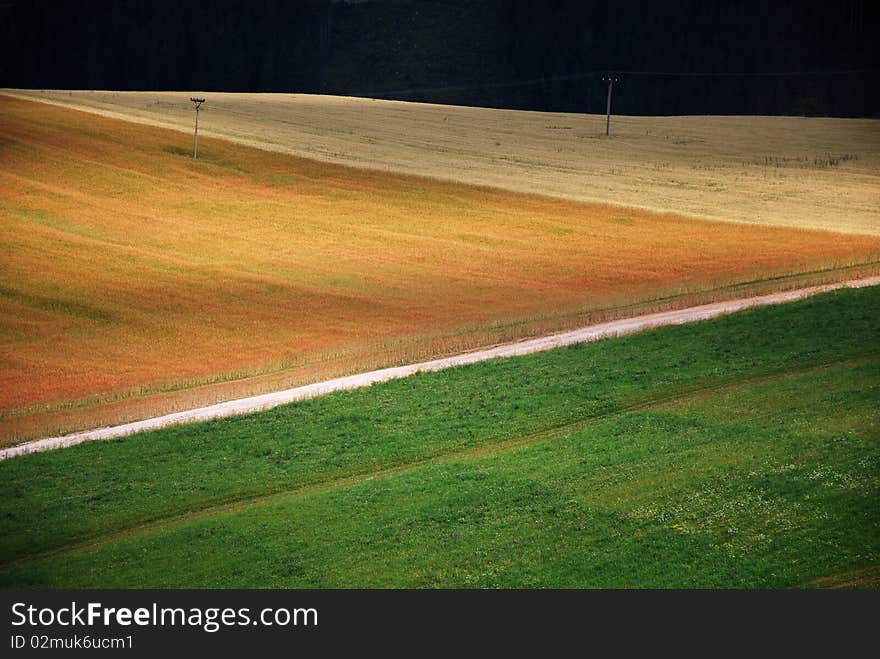 Slovakia outfields in summer in Liptov