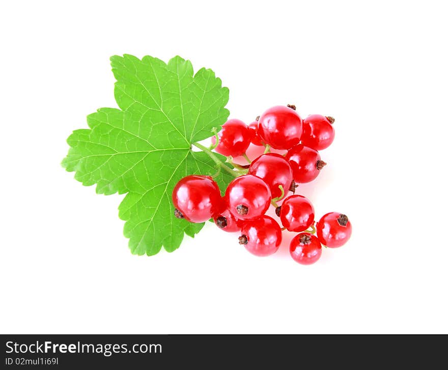 Fresh red  ripe currants isolated on white. Fresh red  ripe currants isolated on white