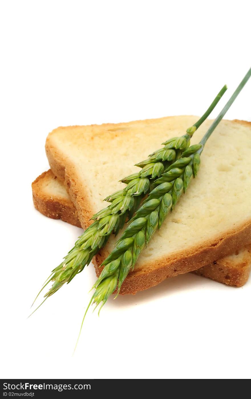 Wheat toasts with ears of wheat on a white background