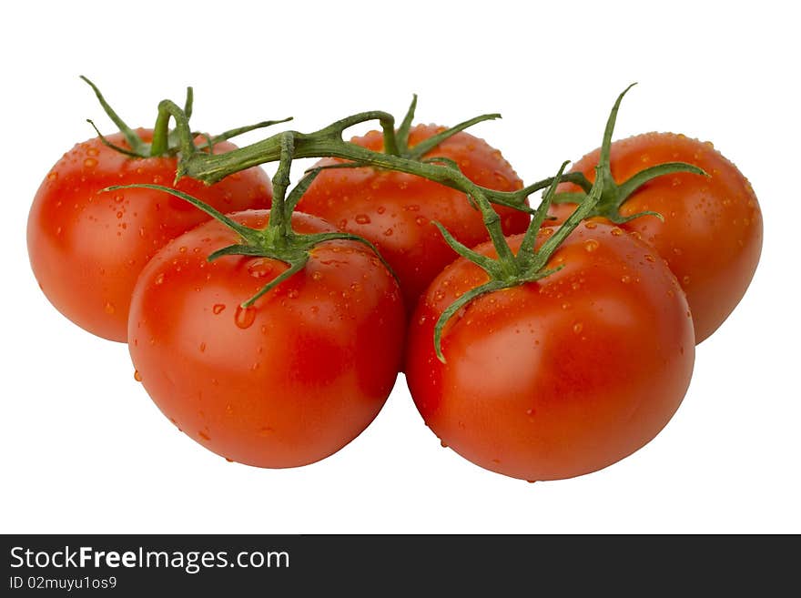 Tomatoes on vine