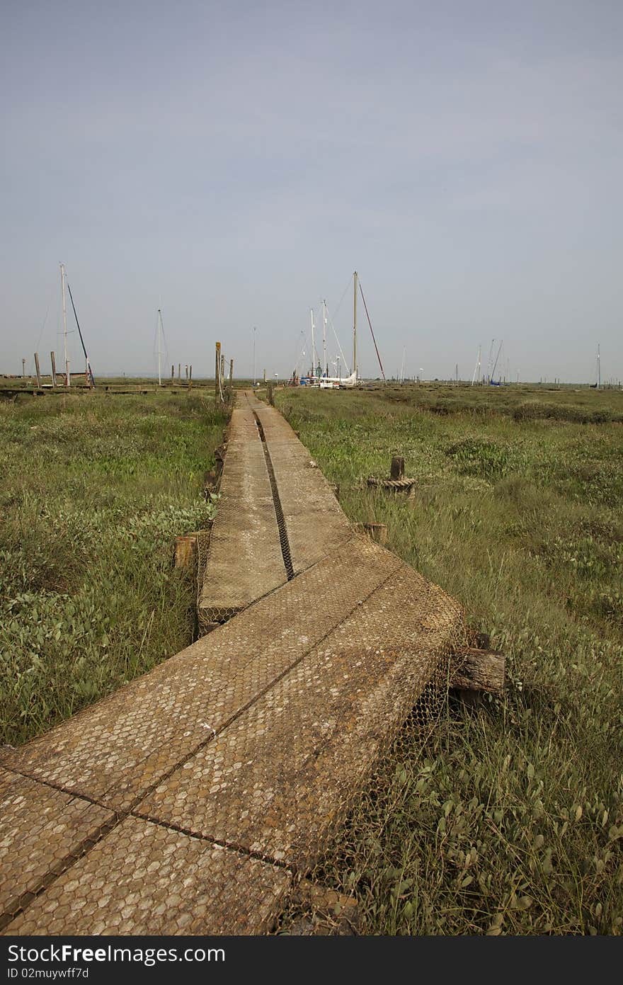 Wooden pathway over marsh land