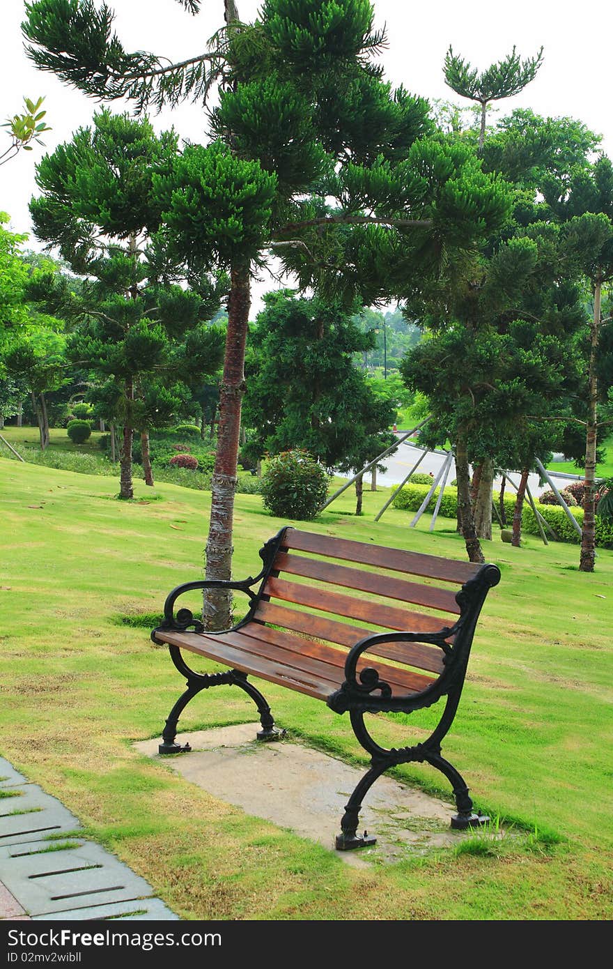 Bench in park, bordered by trees and grass