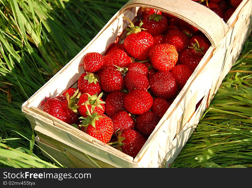 Strawberries in a punnet on the grass