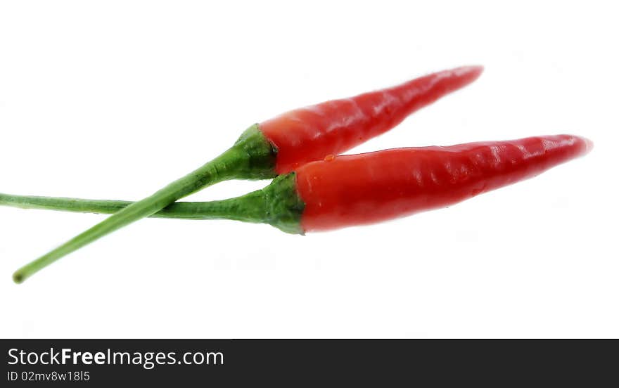 Red chili