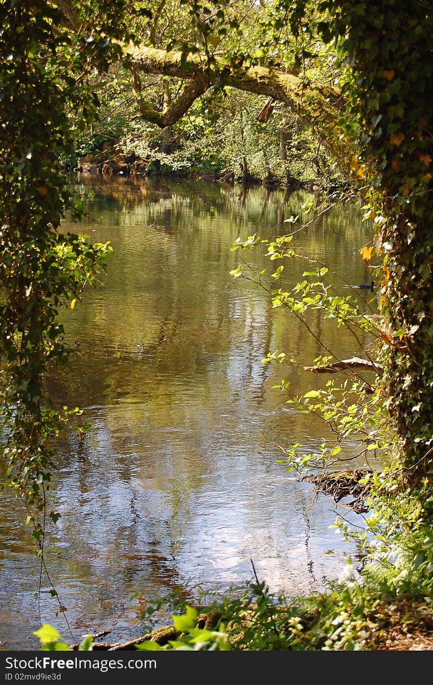 Idyllic spot in the Derwent ValleyDerbyshire,Northern England. Idyllic spot in the Derwent ValleyDerbyshire,Northern England.