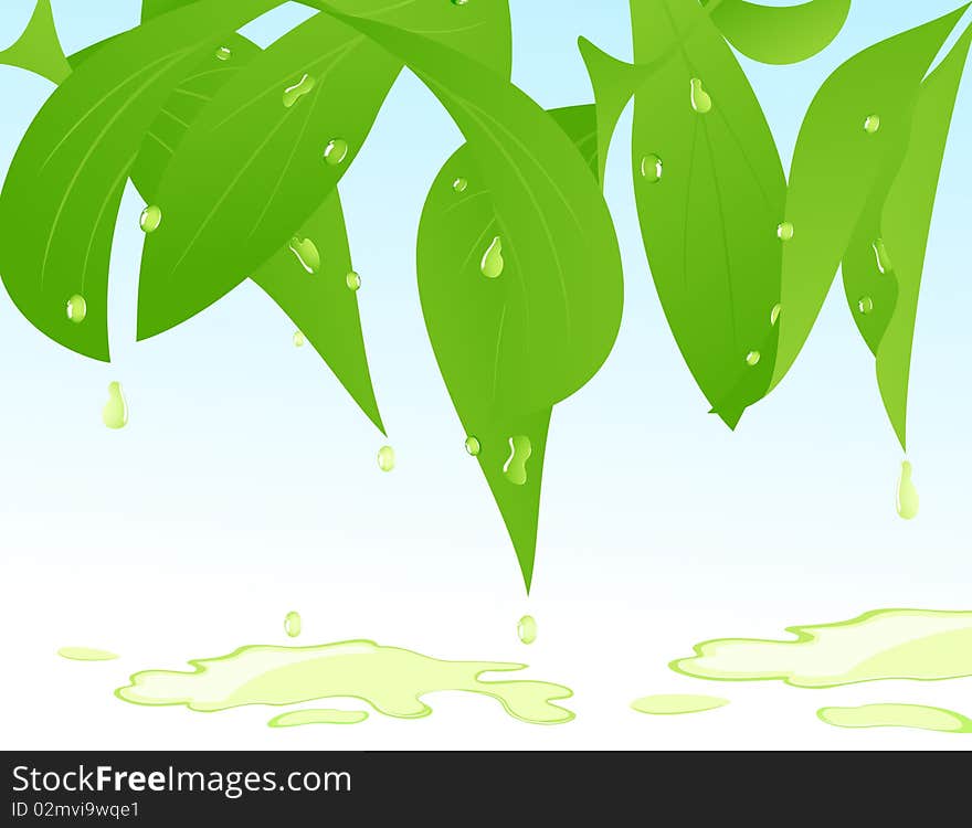 Leaf after rain,  illustration, AI file included