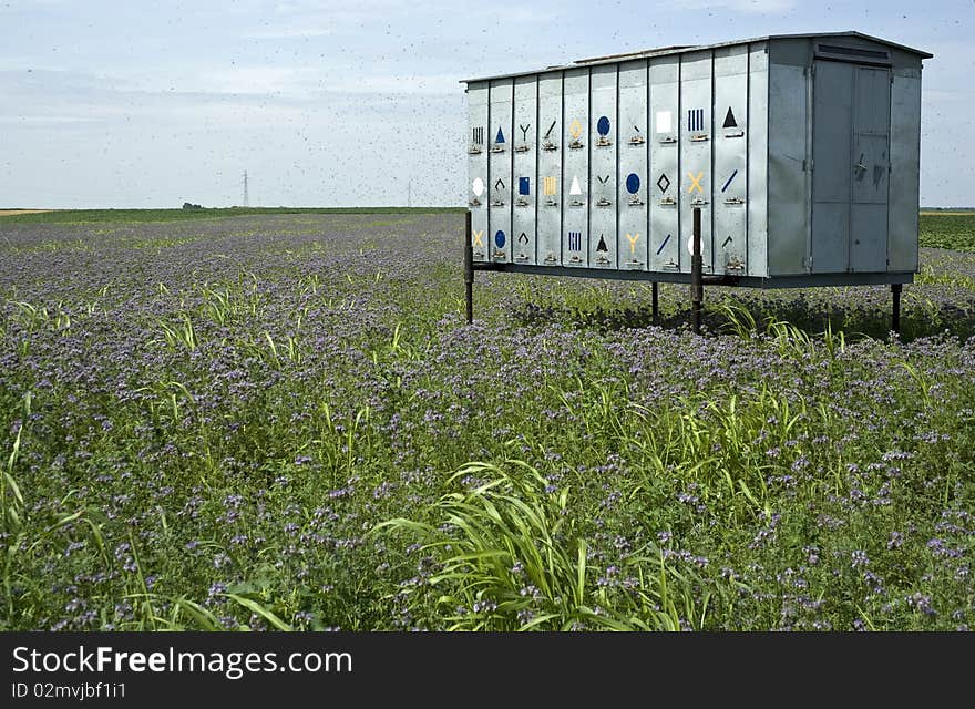 Mobile beehive