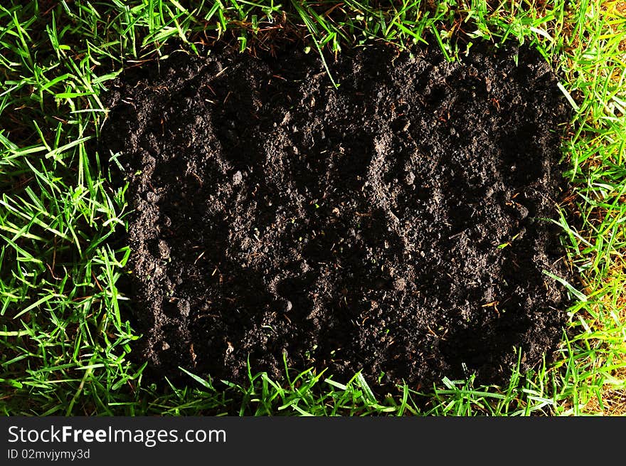 Bright grass with black soil. Bright grass with black soil.