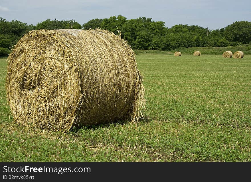 Bales