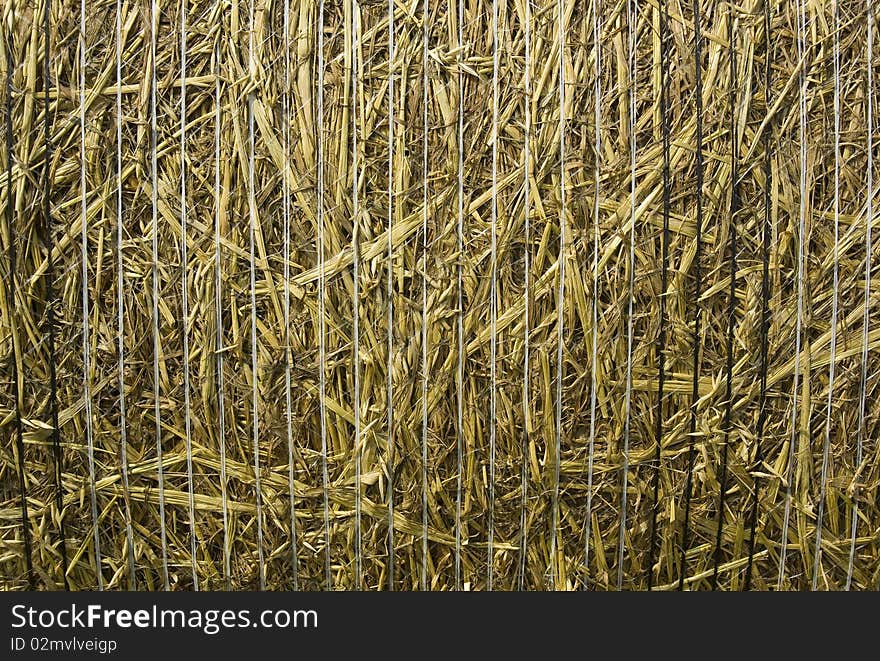 Hay texture background