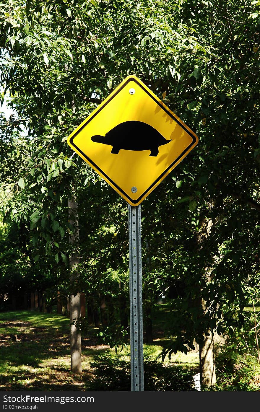 Warning For Turtle S Crossing.