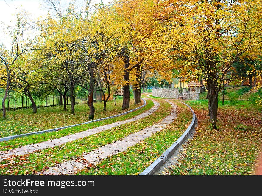 Calm park with autumn color trees. Calm park with autumn color trees