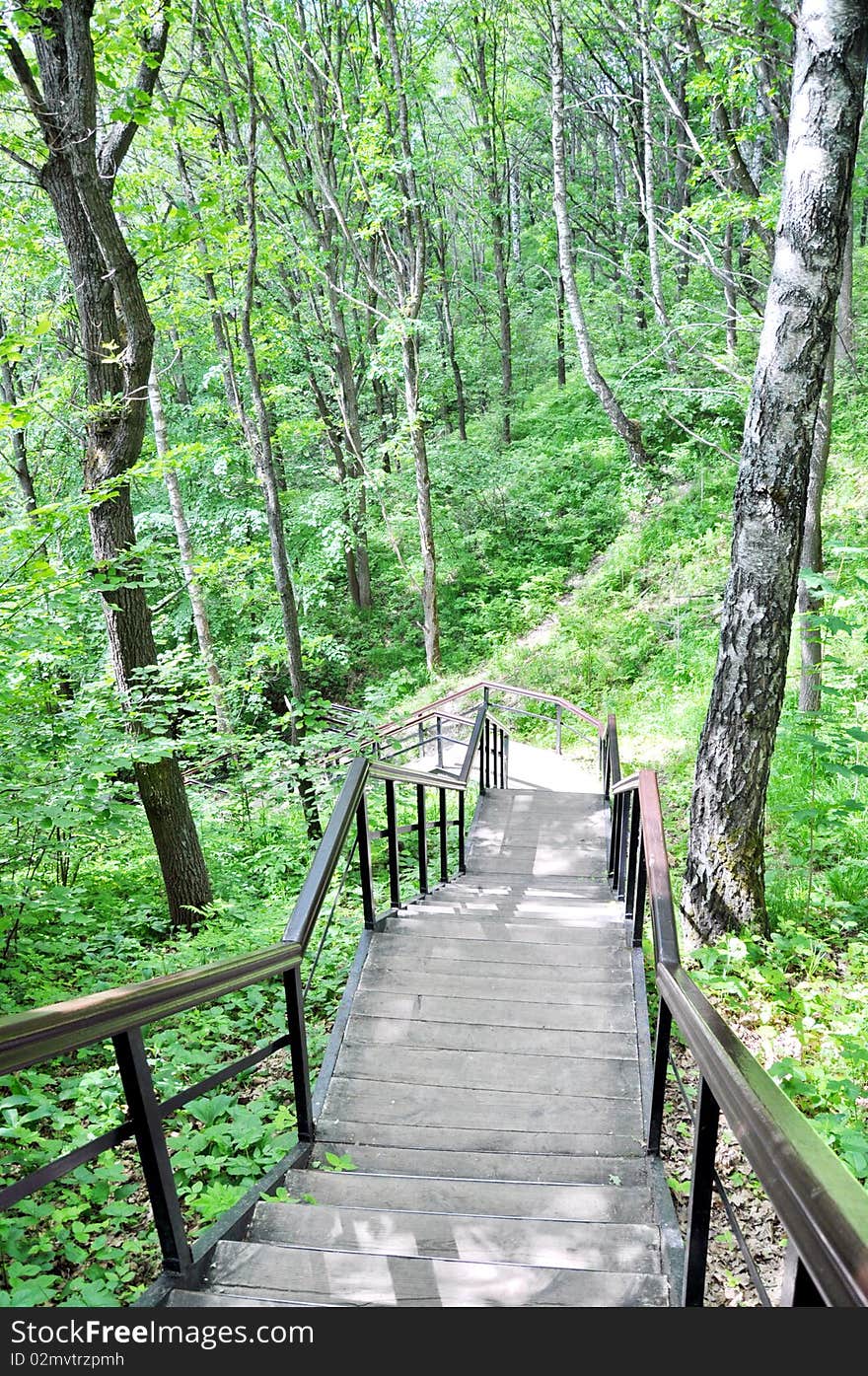 Stairs in the woods