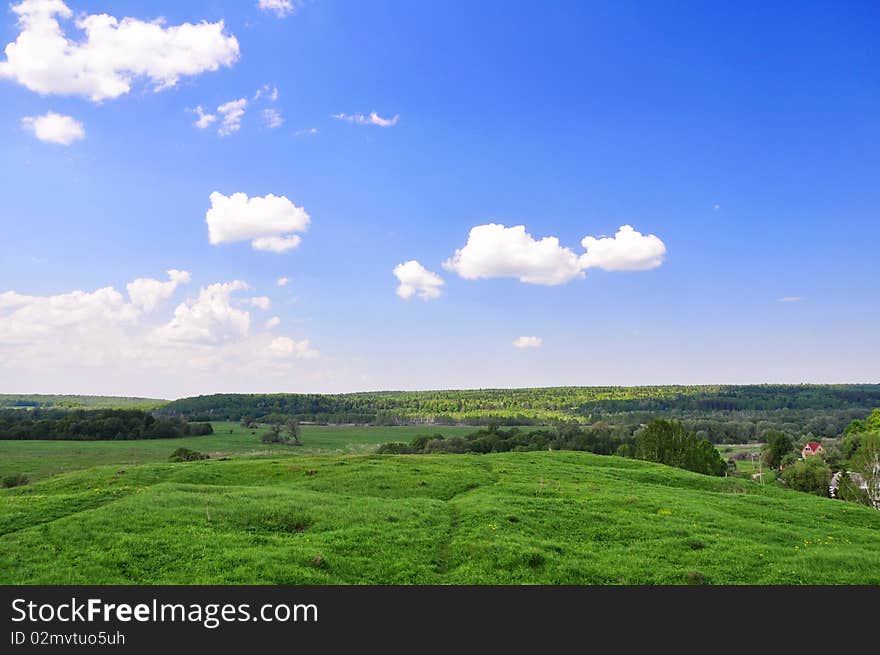 Summer Landscape