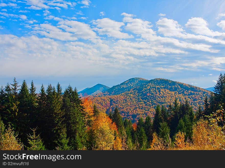 Scenic view of forest on mountainside with cloudscape in background. Scenic view of forest on mountainside with cloudscape in background